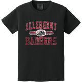 Allegheny Badgers Youth Heavyweight Ring Spun Tee