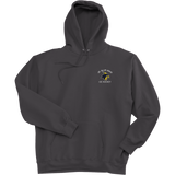 Delaware Jr. Blue Hens Super Heavyweight Fleece Hoodie