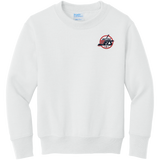 Metro Jets Youth Core Fleece Crewneck Sweatshirt
